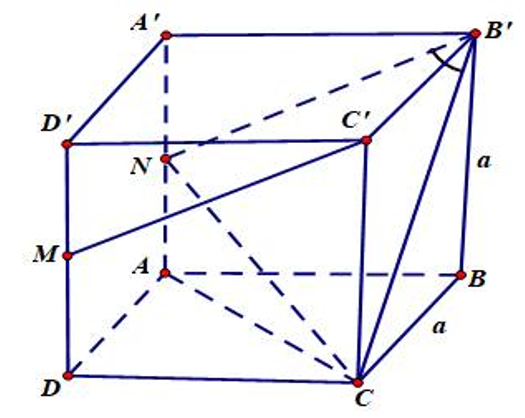 Hình minh họa câu hỏi